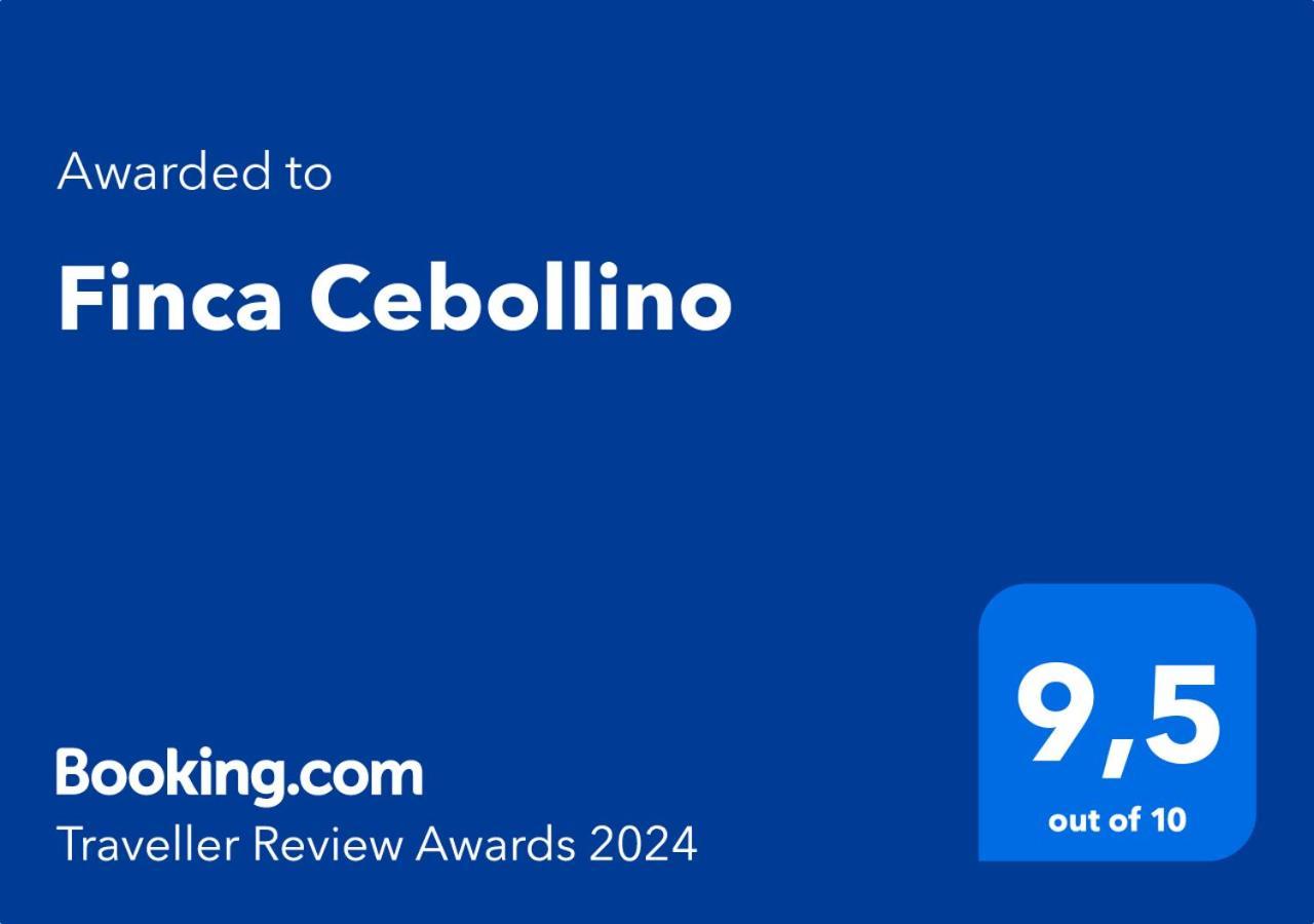 Cebollino Сasa de vacaciones La Orotava